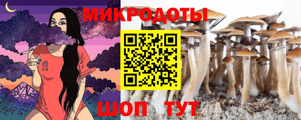 Галлюциногенные грибы Magic Shrooms Губаха