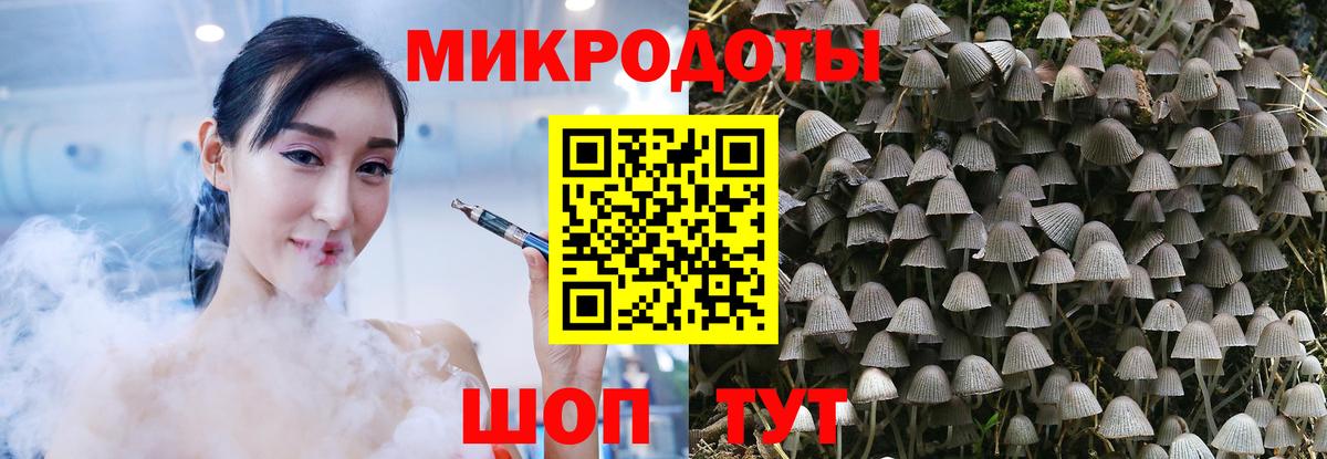 Губаха  Галлюциногенные грибы GOLDEN TEACHER  закладки  Вход с VPN  Псилоцибиновые грибы мицелий 
